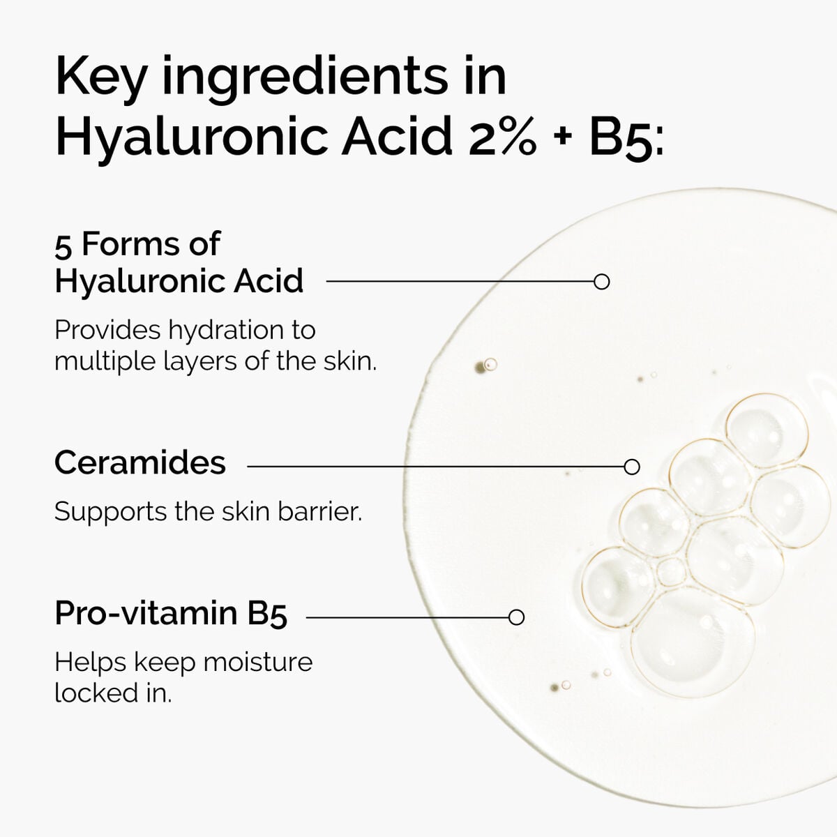 hyaluronic-acid-2-b5-with-ceramides-o0 ord-hyaluronic-acid-2pct-b5-hydrating-serum-ingredients-graphic.jpg