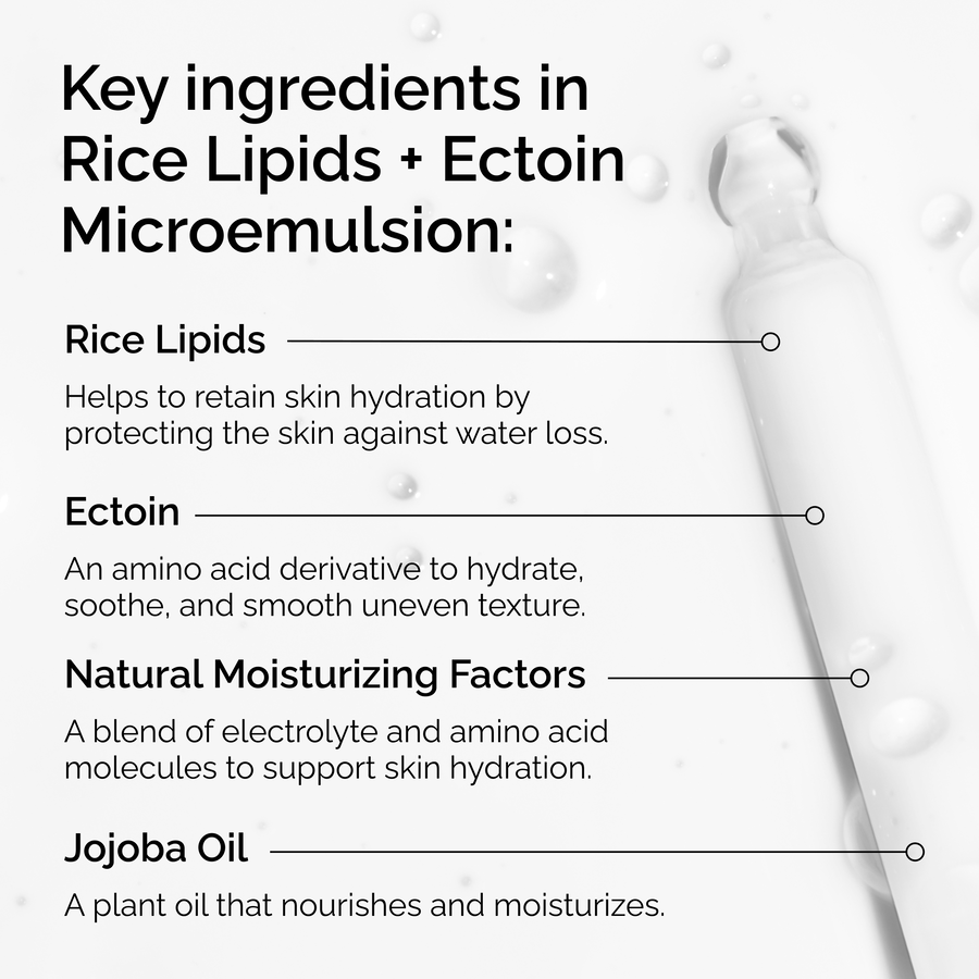 rice-lipids-ectoin-microemulsion-b7 ord-rice-lipids-ectoin-microemulsion-key-ingredients.png