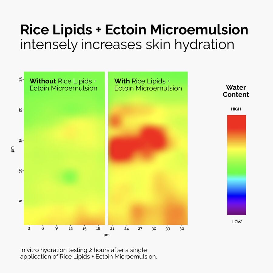 rice-lipids-ectoin-microemulsion-b7 ord-rice-lipids-ectoin-microemulsion-thermal-before-after.jpg